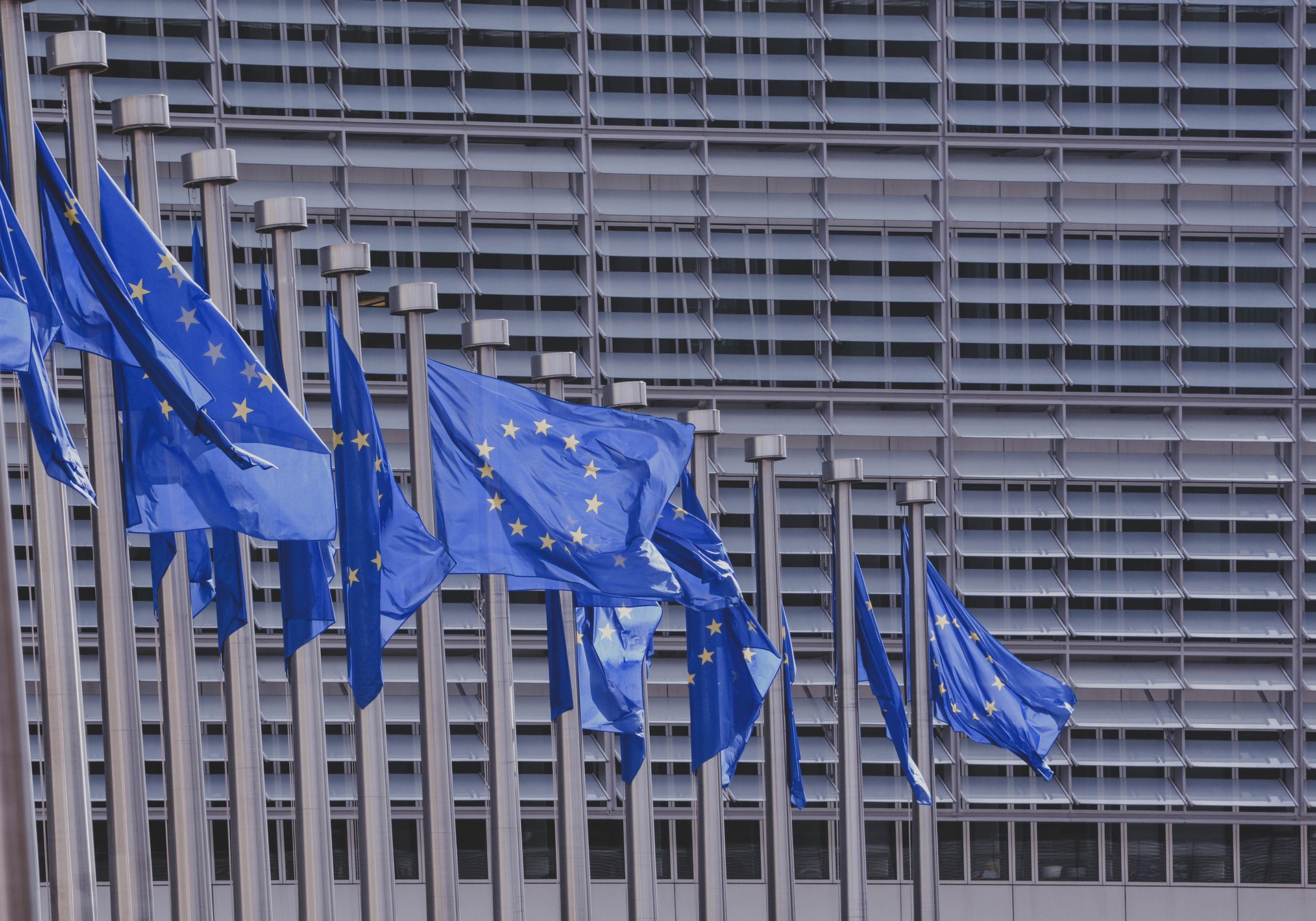 EU-Flaggen © Bild von Pexels auf Pixabay
