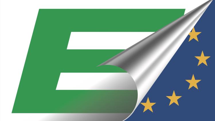 Flagge der Europa Union BW