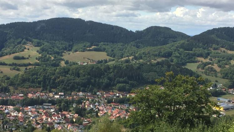 Blick über den Thüringer Wald
