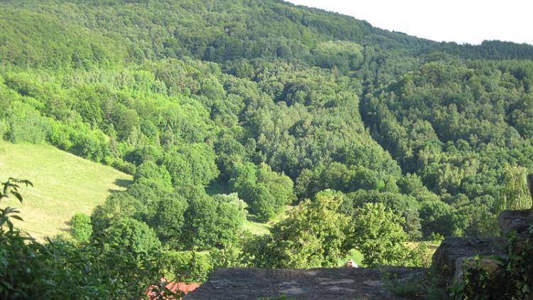 https://commons.wikimedia.org/wiki/File:Junkerkuppe_vom_Hanstein_gesehen.jpg